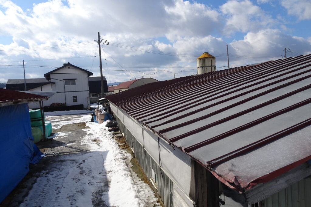 北海道 火災保険申請 札幌 雪害事例